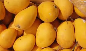 Six mango varieties you must try this summer. Summer has arrived, and one thing you should not miss is the season's delight, mango. The fruit is known for its sweet taste, juicy pulp, and aroma, and have long