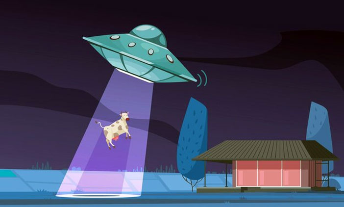 UFO Study Program
