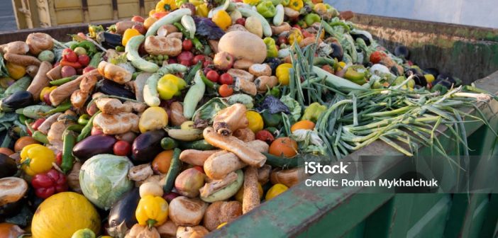 Food Waste and Starvation