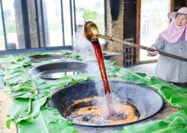 Bridging the Digital Divide: 5G Drives Rural Revitalization in Guangxi, China