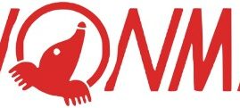 HONMA Golf FY2025/26 Results Remained Resilient Sales and Net Profit Showed Visible Improvements