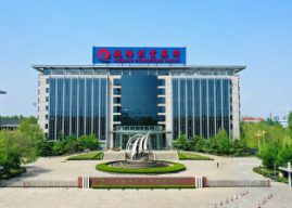 Shared Revitalization Journey of Weiqiao Pioneering Group, Weiqiao Town