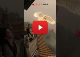 The Changsha Jiandu Museum launches its Digital Exhibition Hall, Allowing Visitors from All Over the World to Adopt Digital Collections with One Click