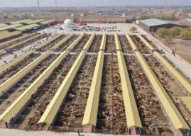 Hinggan League Agricultural, Cultural and Tourism Consumption Carnival Opens in Beijing