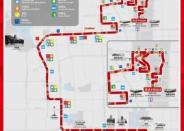 Beijing Marathon to Kick Off on October 18: Road Running Charm Blooms in the Golden Autumn Capital
